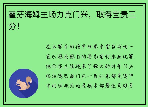 霍芬海姆主场力克门兴，取得宝贵三分！